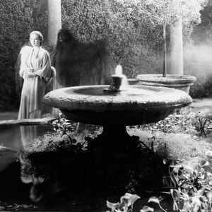 Foto Uma Sombra que Passa