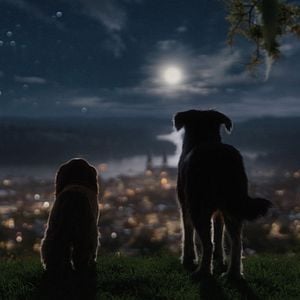 Foto A Dama e o Vagabundo