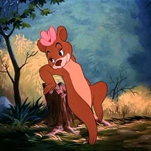 Foto Como é Bom se Divertir