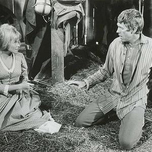 Foto Ouro é o que Ouro Vale