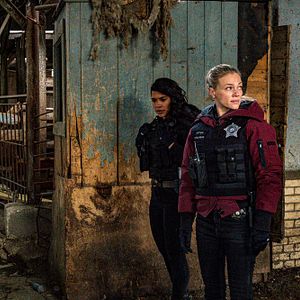 Foto Tracy Spiridakos