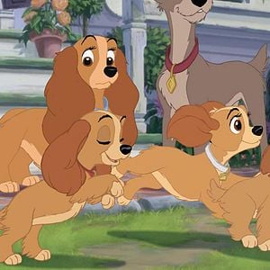 Foto A Dama e o Vagabundo 2 - As Aventuras de Banzé