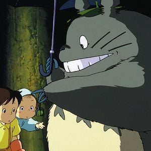 Foto Meu Amigo Totoro