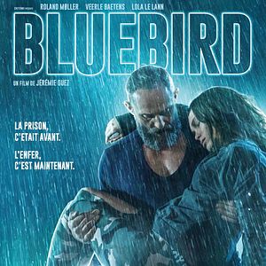 Foto A Bluebird in My Heart