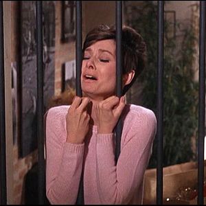 Foto Um Clarão nas Trevas