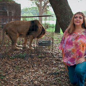 Foto A Máfia dos Tigres