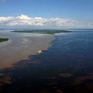Foto Brasil Visto de Cima