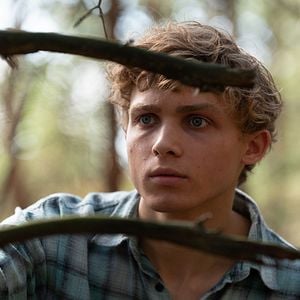 Foto Silêncio na Floresta