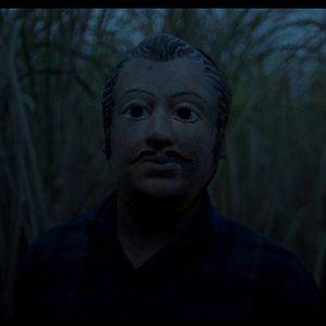 Foto O Segredo da Floresta