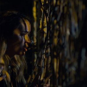 Foto O Segredo da Floresta