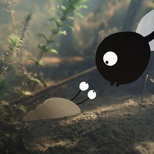 Foto O Caracol e a Baleia