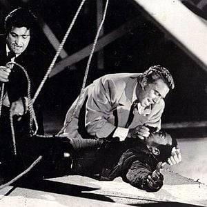 Foto A Máfia Nunca Perdoa