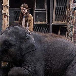 Foto Zoo: Uma Amizade Maior que a Vida