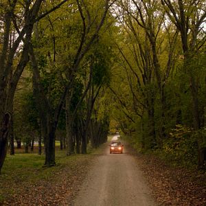 Foto A Cabana Maldita