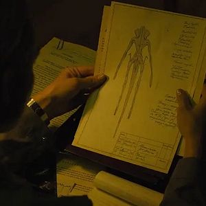 Foto Estranho Passageiro – Sputnik