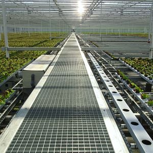 Foto David Attenborough e Nosso Planeta