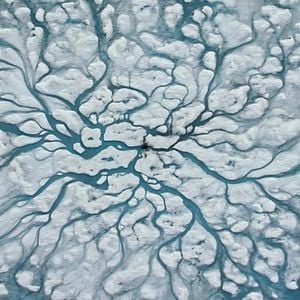 Foto David Attenborough e Nosso Planeta