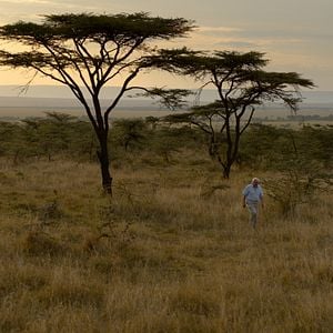 Foto David Attenborough e Nosso Planeta