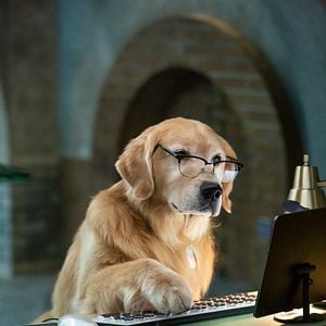 Foto Como Cães e Gatos 3: Peludos Unidos!