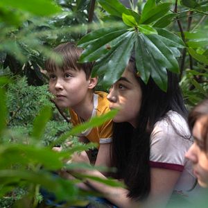 Foto Assassinatos em Dublin