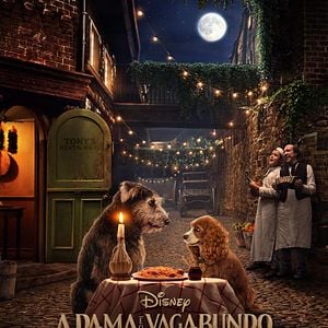 Foto A Dama e o Vagabundo