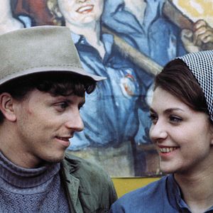 Foto Andorinhas Por um Fio