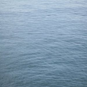 Foto O Livro dos Prazeres