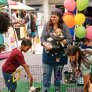 Foto Melissa McCarthy