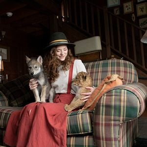 Foto O Lobo e o Leão