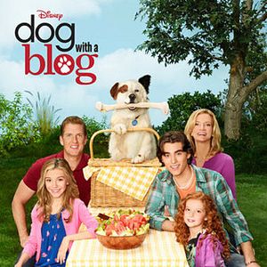 Foto Stan, o Cão Blogueiro