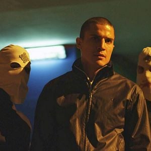 Foto Escorpião Apaixonado