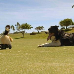 Foto Super Cães - Apresentado por Bill Farmer