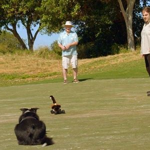 Foto Super Cães - Apresentado por Bill Farmer