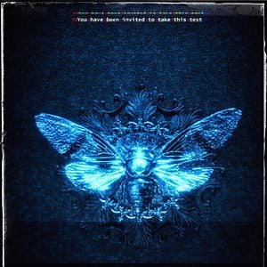 Foto Dark Web: Cicada 3301