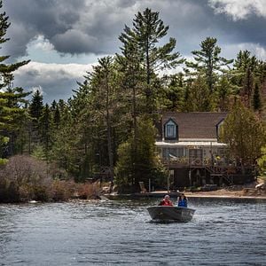 Foto O Lobo e o Leão