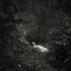 Foto The Edge of Daybreak