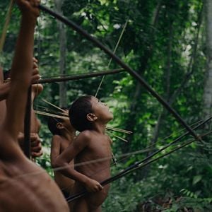 Foto A Última Floresta