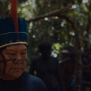 Foto A Última Floresta