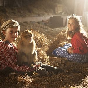 Foto A História de Wim de A a Z