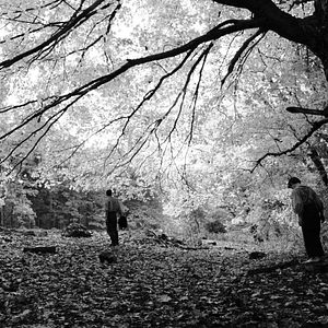 Foto The Better Angels