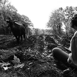 Foto The Better Angels