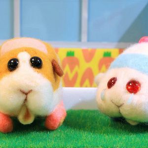 Foto Pui Pui - Porquinhos com Rodinhas