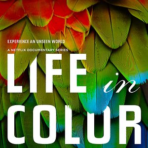 Foto A Vida em Cores com David Attenborough