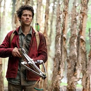 Foto Amor e Monstros