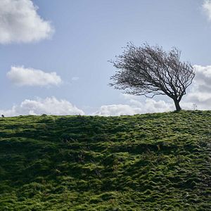 Foto Além das Montanhas