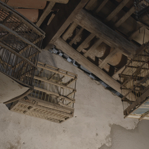 Foto Escravidão - Século XXI