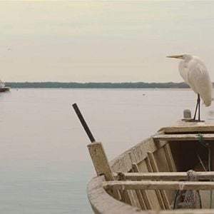 Foto Doidos de Pedra - O Paraíso Ameaçado