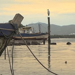 Foto Doidos de Pedra - O Paraíso Ameaçado