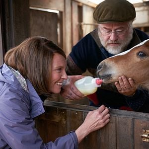 Foto O Cavalo dos Meus Sonhos