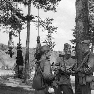 Foto O Pássaro Pintado